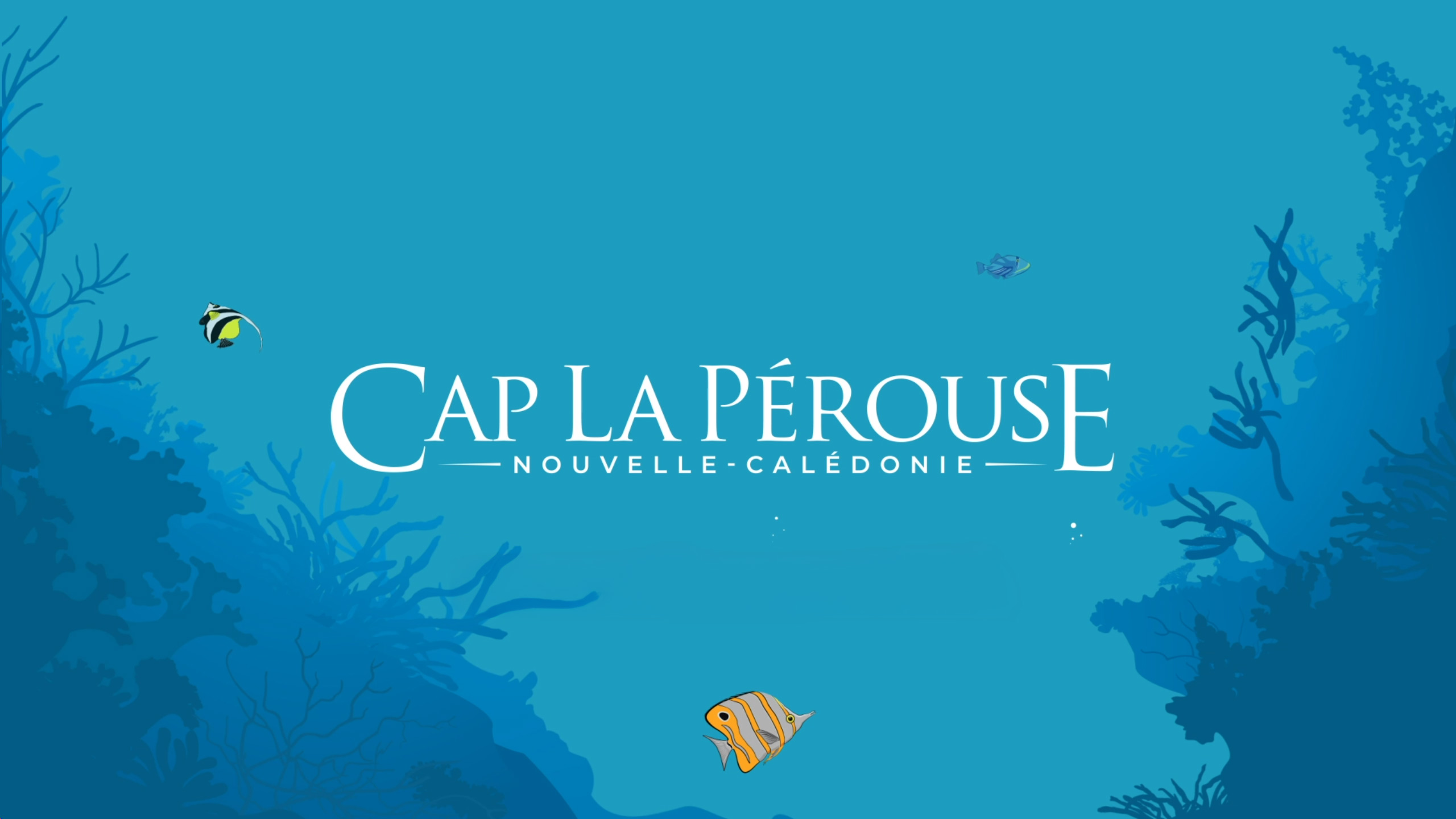 Cap La Pérouse