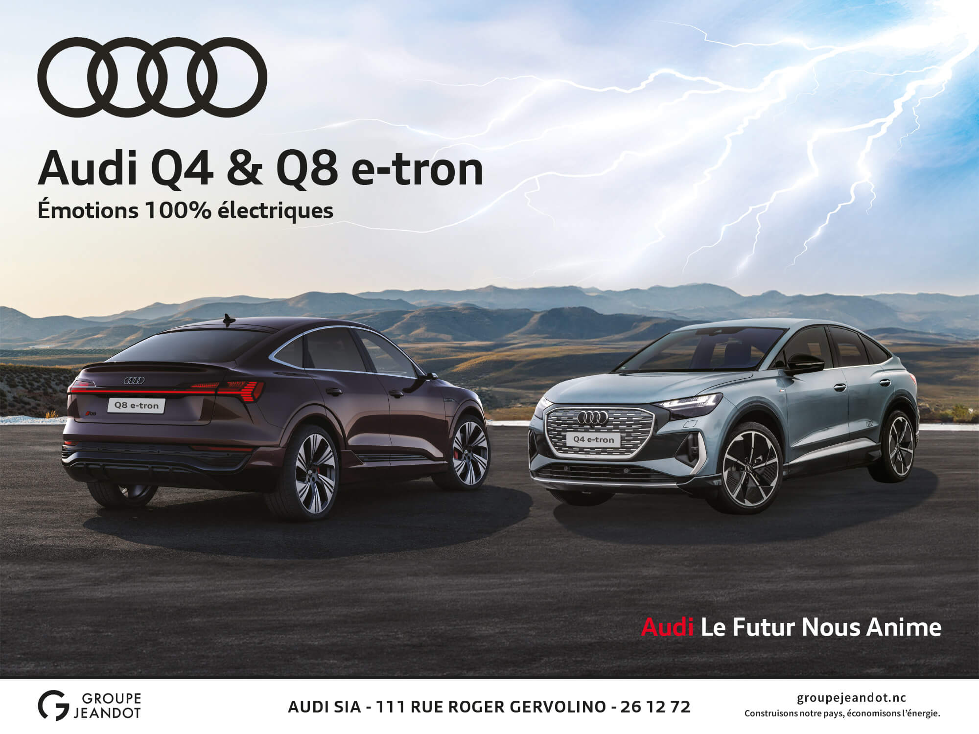 Audi Q4 & Q8